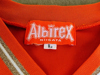 JAPAN J-LEAGUE ALBIREX NIIGATA 1998 J. LEAGUE CUP 3rd  EDMILSON 10 JERSEY SHIRT LARGE ジャージーシャツ