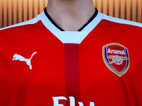 ENGLISH PREMIER ARSENAL FC 2016-2017 FA CUP CHAMPION PUMA JERSEY SHIRT LARGE  # 749821