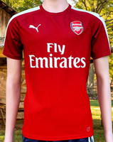 ENGLISH PREMIER ARSENAL FC 2015 2016 FA COMMUNITY SHIELD CHAMPION STAD vintage soccer jersey