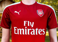 ENGLISH PREMIER ARSENAL FC 2015-2016 FA COMMUNITY SHIELD CHAMPION STADIUM TRAINING TOP NIKE WOMEN & KIDS PUMA JERSEY SHIRT S # 749143