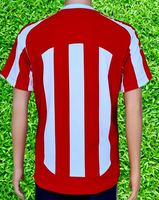 ENGLISH PREMIER STOKE CITY 2009-2010 TONY PULIS FA CUP QUARTER FINALS HOME LE COQ SPORTIF JERSEY SHIRT MEDIUM # BUS003