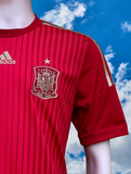 SPAIN 2014 WORLD CUP QUALIFICATION HOME JERSEY ADIDAS CLIMACOOL SHIRT CAMISETA MEDIUM  # G85279