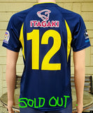 JAPAN J-LEAGUE THESPA KUSATSU 2005 HOME ITAGAKI 12 JERSEY UNIQLO MEDIUM SHIRT ジャージーシャツ SOLD OUT!!